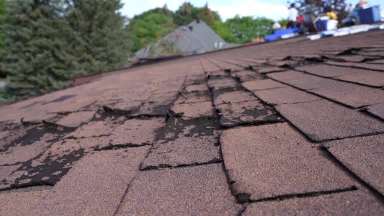 Best Roof Coating Services  in Auburn, MI