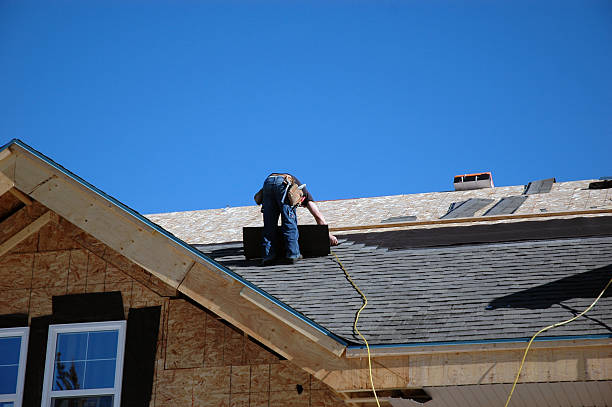 Best Roof Moss and Algae Removal  in Auburn, MI