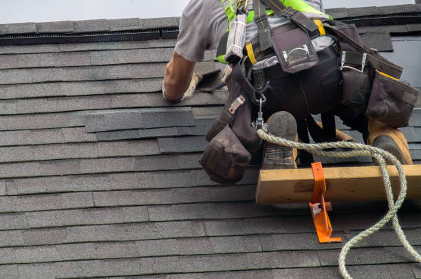 Best Chimney Flashing Repair  in Auburn, MI